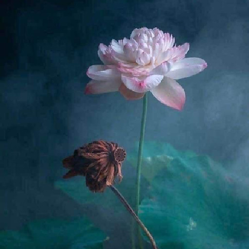 Nguyễn Thị Kim Minh