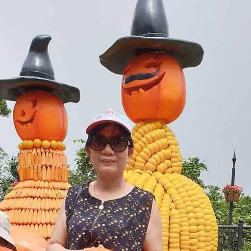 Lê thị phương dung