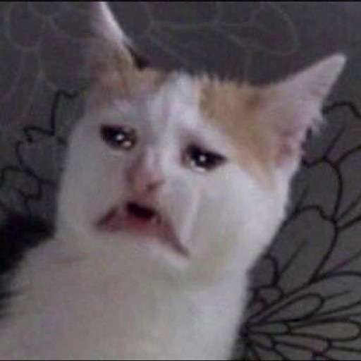 Lục Thượng Hạo