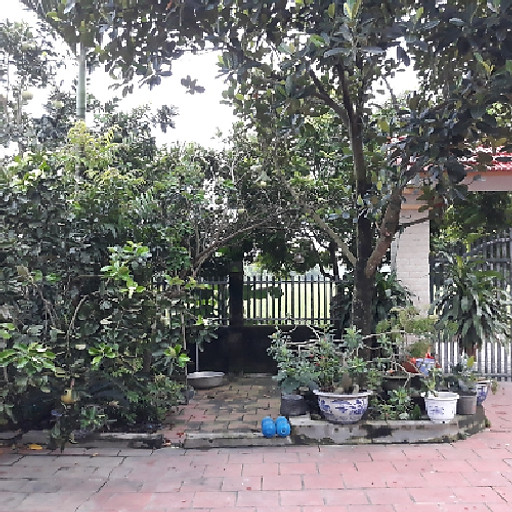 Nguyễn Đăng Đức