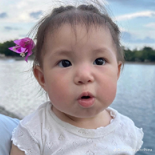 Phan Nguyễn Quỳnh Anh