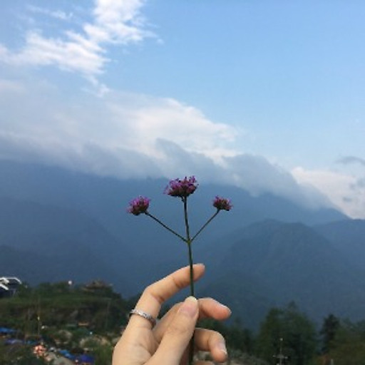 Phạm Thị Thanh Nhàn