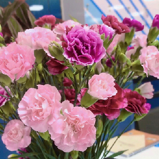 Nguyễn Thị Thanh Loan