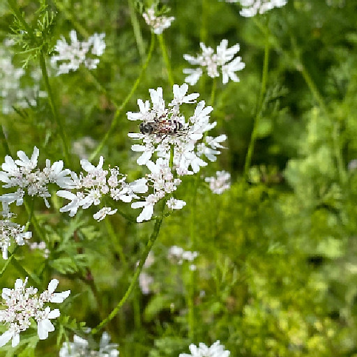 Hồ Ngọc Lan Phương