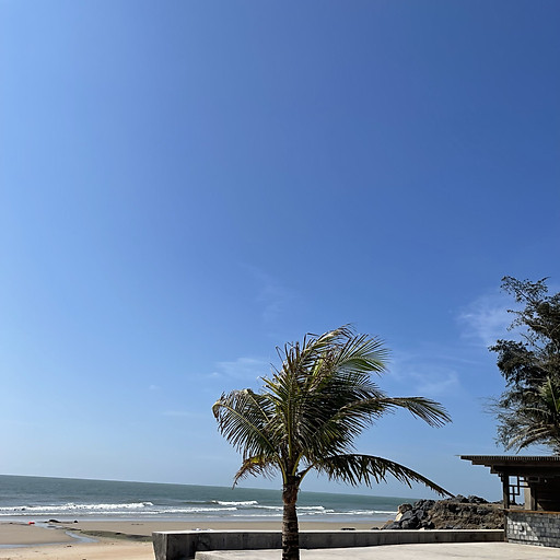 Nguyen Thi Bich Ngoc