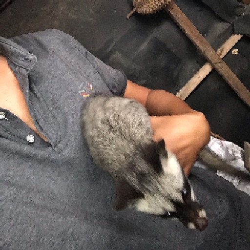 Đặng Đức Nghĩa