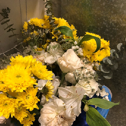 Thị Phương Trà Nguyễn