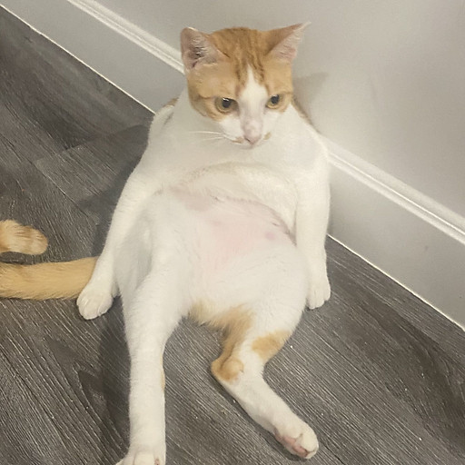 Huỳnh Thái Ngọc