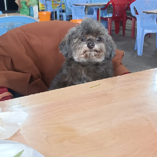 NGUYỄN HUỲNH HOÀNG ANH TÚ