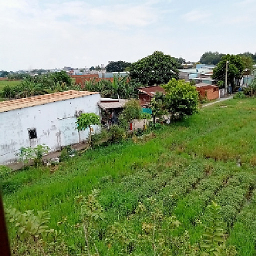 Phùng Ngọc Phẩm