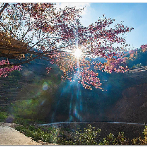 Nguyễn Thanh Tùng