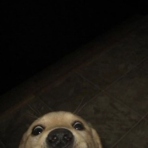 Đỗ Nguyễn Diễm Hằng