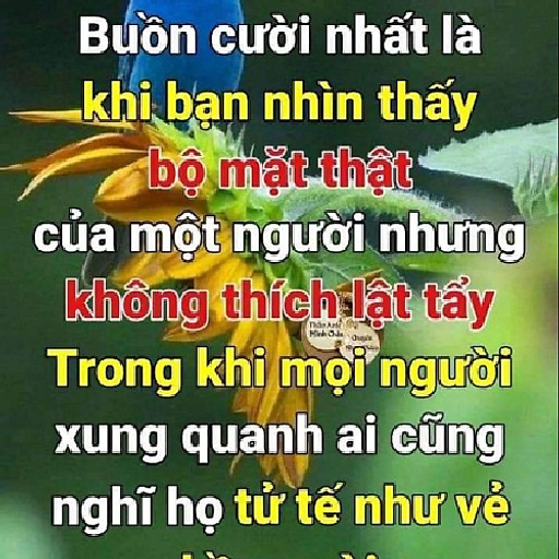 Đỗ Thị Thúy Hằng