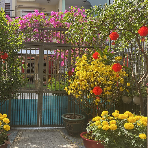 Lê Huỳnh Anh Đào