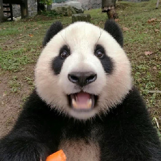 Huỳnh thị phương duyên