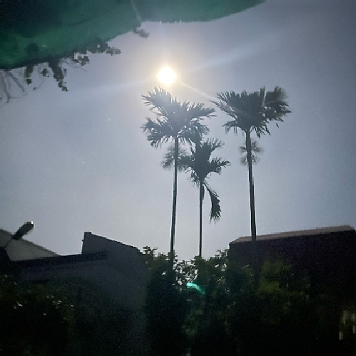 Thành Công Nguyễn