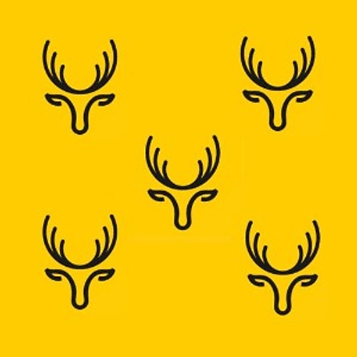 Cao Lê Hương Trầm