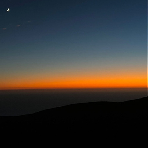 Nguyễn Vũ Bảo Trân