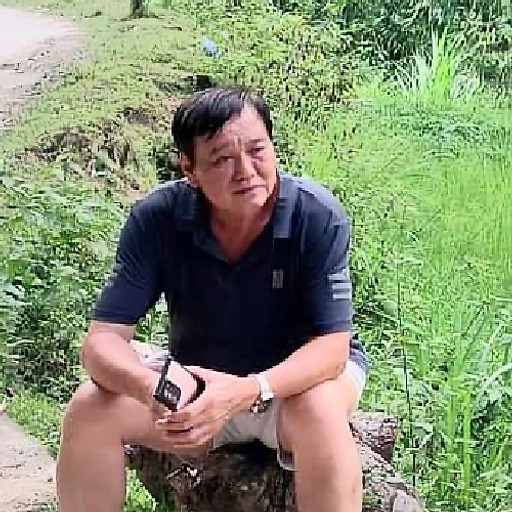 Dương Hồng Đỉnh
