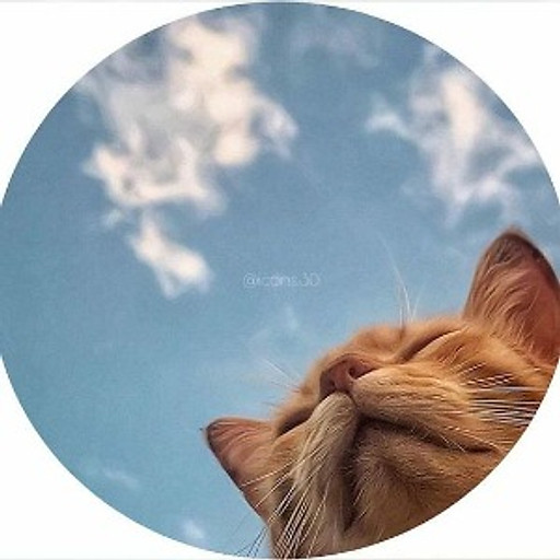 Võ Thị Uyên Phương