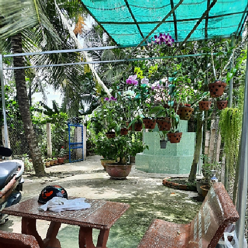 Nguyễn Thị Thương