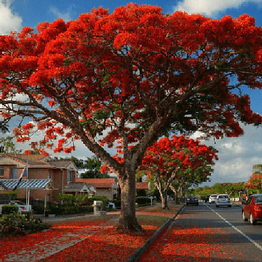 Nguyễn Quang Lợi