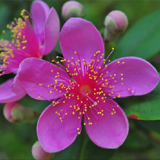 Phạm Thị Minh Nguyệt