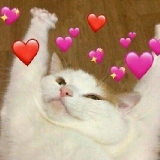 Nguyễn Bảo Ngọc