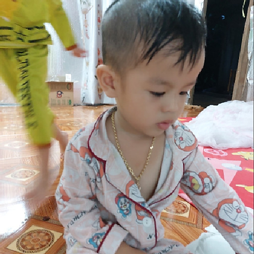 Phạm Hữu Khá