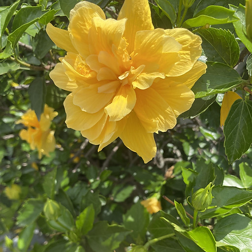 Tiến Nguyễn Minh