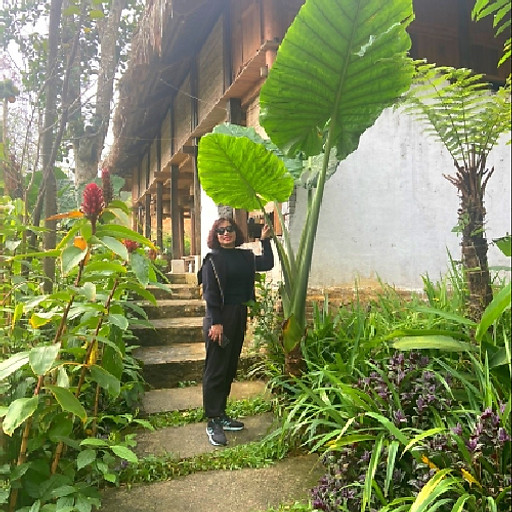 Hồ Thị Kim Hà
