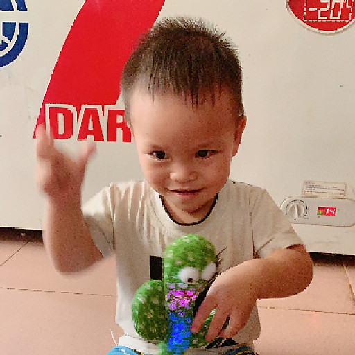 Trần Hoàng Tuấn Anh