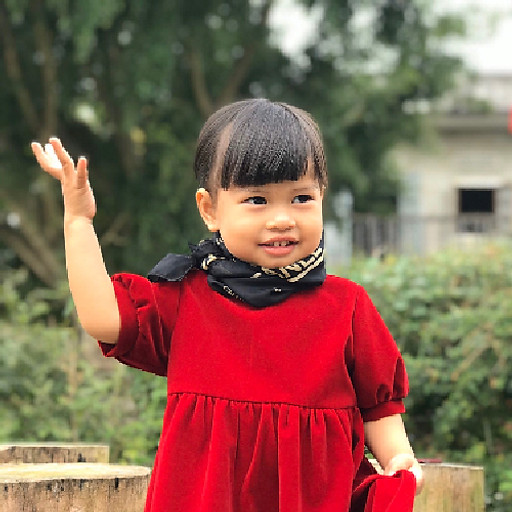 Lam Son Kha