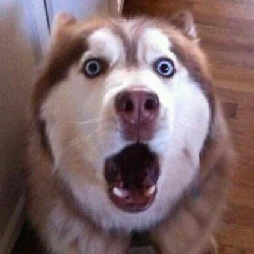 Nguyễn Hữu Bình