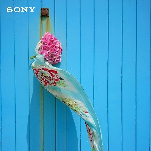 Bùi Quốc Cường