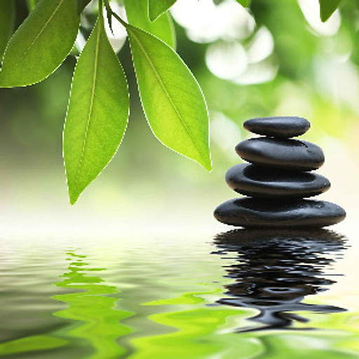 Nguyễn Huỳnh Thanh Huy