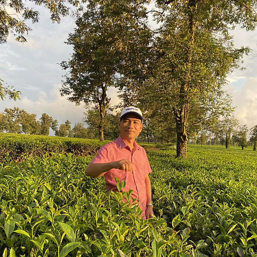 Phạm Văn Tường