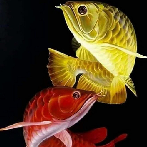 Nguyễn Văn Quới