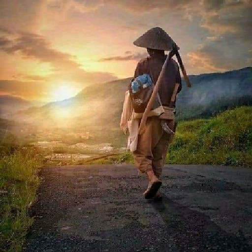 Bao binh
