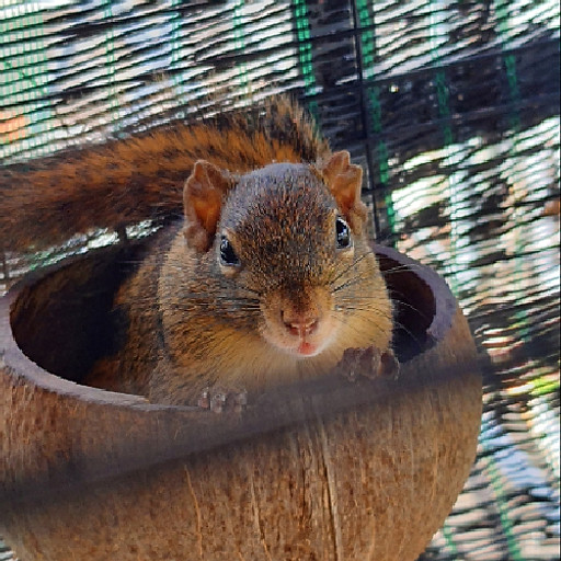 Phạm Xuân Trường