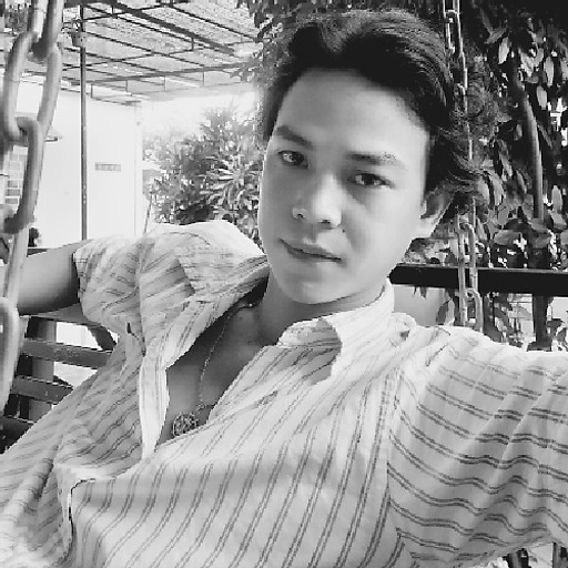 Đoàn Trần Bảo Long