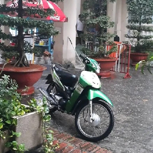 Nguyen Thi Quynh Nhu