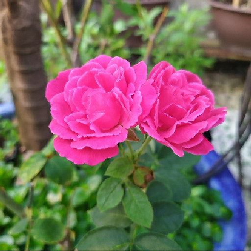 Phạm Ngọc Thuận