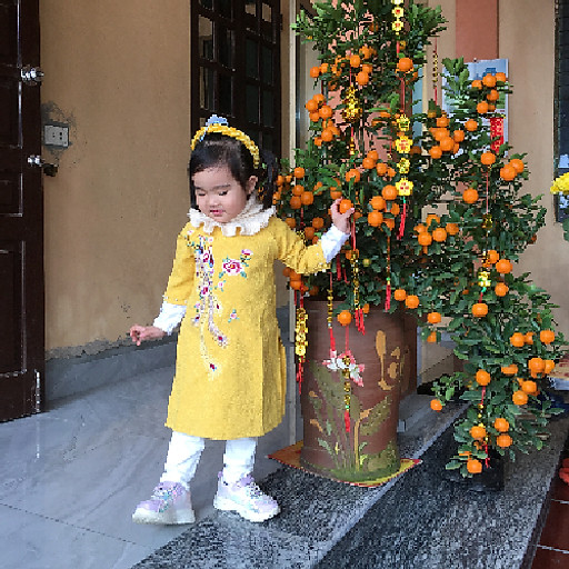 Phạm Quốc Việt