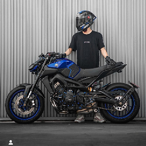 Phạm Thuỷ Anh hào