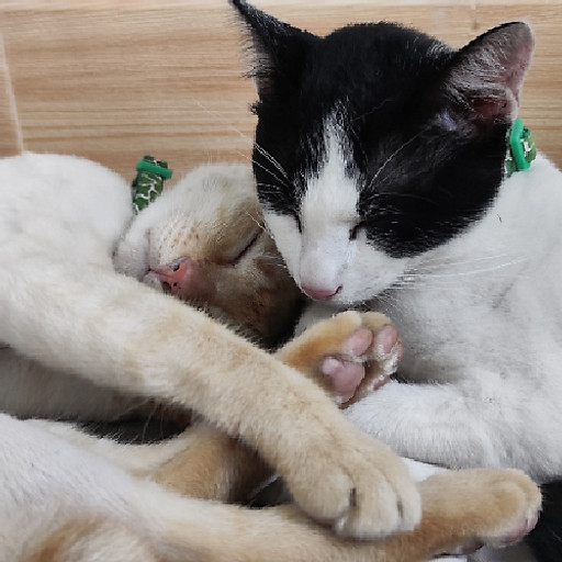 Nguyễn Thị Hậu