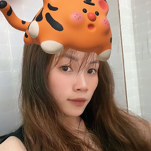 Đỗ Thị mỹ linh