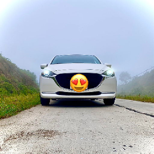 Phạm Xuân Trường