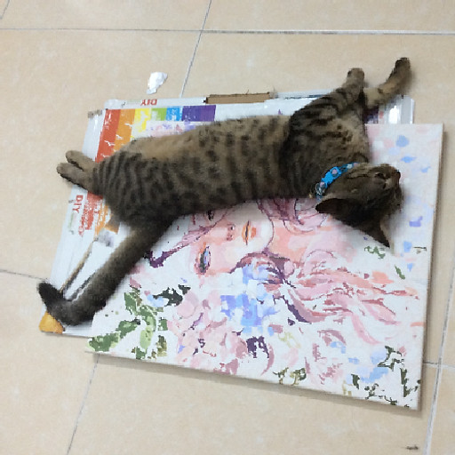 Nguyễn Đình Nguyên