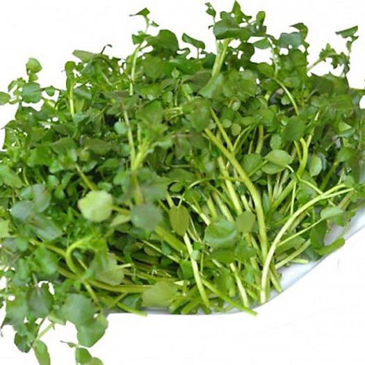 Rau cải xoong - 500gr